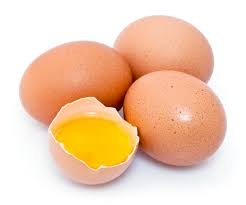 Cosa ci insegna l'emergenza Fipronil?